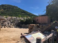 -芽庄珍珠岛游乐园