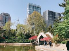 -团结湖公园