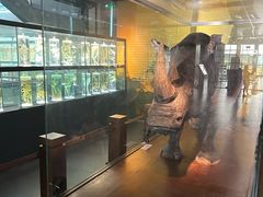 -广东中医药博物馆