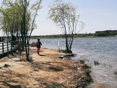-绿堤公园