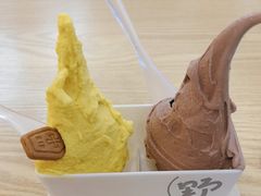 -野人先生Gelato(上海长宁龙之梦店)