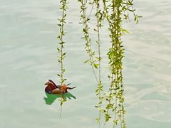 -颐和园