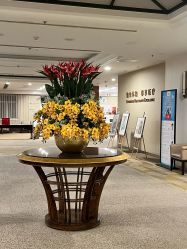 -北京明德医院·医疗美容
