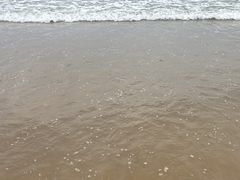 -日照海滨国家森林公园