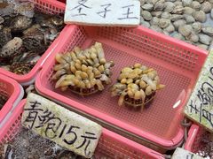 -老字号蛇口德记烧腊饭店·海鲜加工