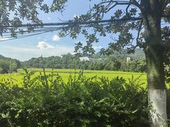 -韶山毛泽东同志故居