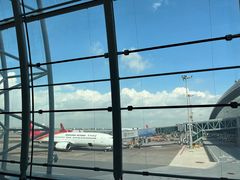 -恩宁刘福记(东华东路店)