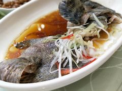 龙胆鱼-悦来酒家·正宗闽南菜(西街店)