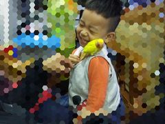 -明明手养鹦鹉(堤角花鸟宠物大世界店)