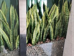 -屋里厢上海菜馆