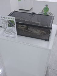 -神奇动物撸宠馆·羊驼·小浣熊·异宠(豫园店)