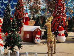 -华夏文旅海洋公园