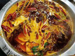 -大龙燚火锅(春熙店)
