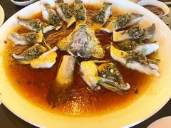 -甄御•海鲜新青岛菜(麦岛店)