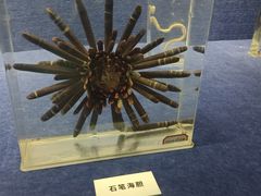 -重庆自然博物馆(新馆)
