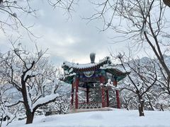 -北京凤凰岭