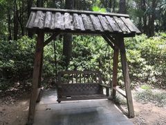 -东湖落雁景区
