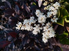 -义乌之心城市生活广场