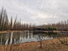 -黄海国家森林公园