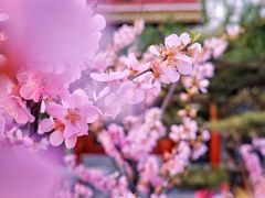 -迎泽公园