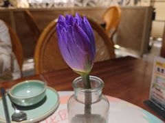 -苏梅花园(群星城店)