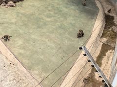 -青藏高原野生动物园