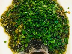 烧椒鲈鱼-尘香•传统川菜(创汇首座店)