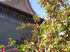 -张掖大佛寺景区