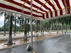 -南宁花花大世界景区