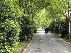 -广富林郊野公园