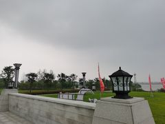 -洪湖湿地生态园