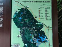 -大屏嶂森林公园