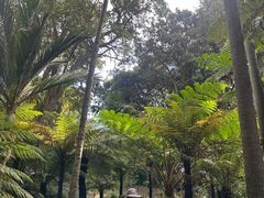 -墨尔本皇家植物园
