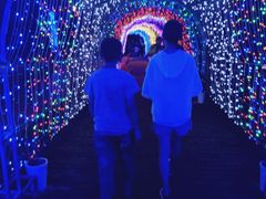 -凤凰山海港乐园