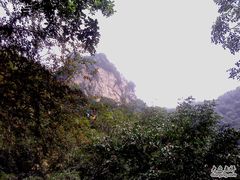 -王顺山国家森林公园