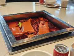 -红鼎坊·老成都火锅(新南门店)