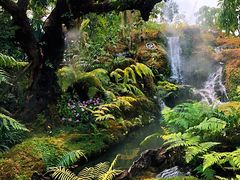 -Chom Cafe and Restaurant