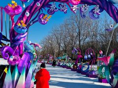 -沈阳奥体冰雪嘉年华