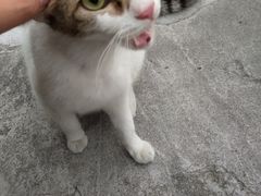 -笑笑面家(白兰路店)