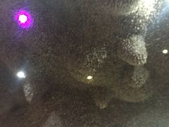 -长春宾馆·丽豪浴都