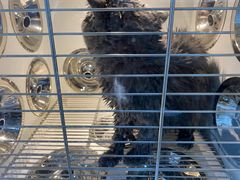 -佳雯宠物医院(金华南路分院)