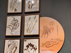 -中国湿地博物馆