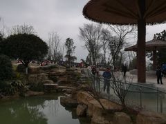 -铁山坪森林公园