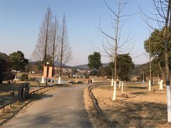 -龙寺生态园