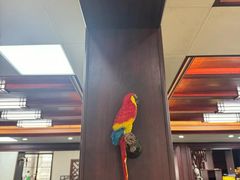 -观桥阁(锦溪店)