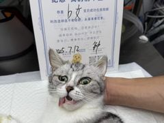 -芭比堂动物医院·心脏专科·夜诊·吉雅分院