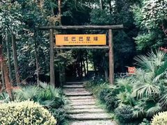 -博沃思·专注力·心理咨询·家庭教育(世豪中心)