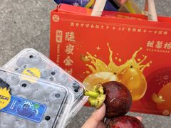 -海吉星市场