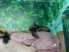 -福州罗源湾海洋世界旅游区