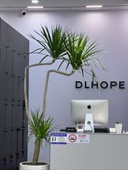-DL HOPE造型